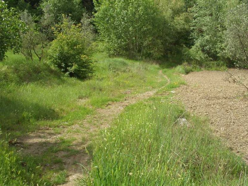 B13 Bivio Torrente.JPG - BIVIO VERSO LE POLLE